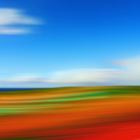 Northwest 1 — Mixed media on aluminum by Brad Forsythe